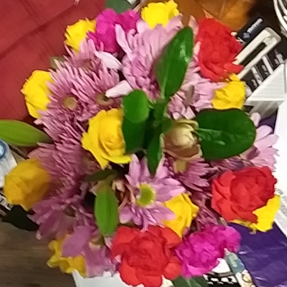 Meet your Posher, Robin - Picture 7 of 10